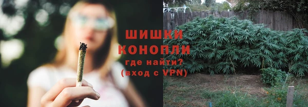 молекула духа Ессентукская