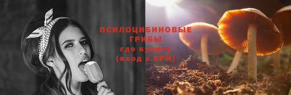 соль ск Арсеньев