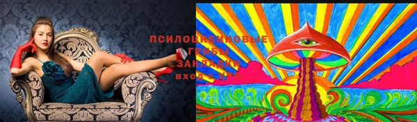 соль ск Арсеньев