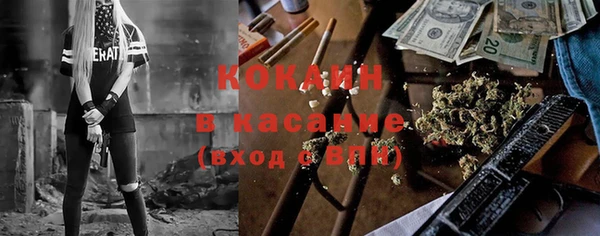 прущие грибы Аркадак