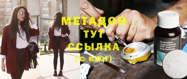 прущие грибы Аркадак