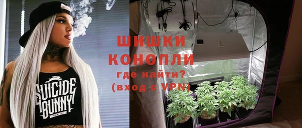 прущие грибы Аркадак